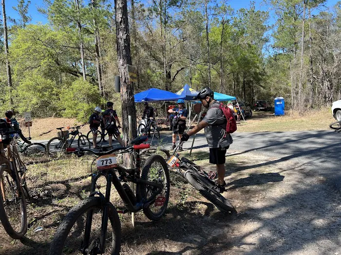 Primative camping spot Picture 8