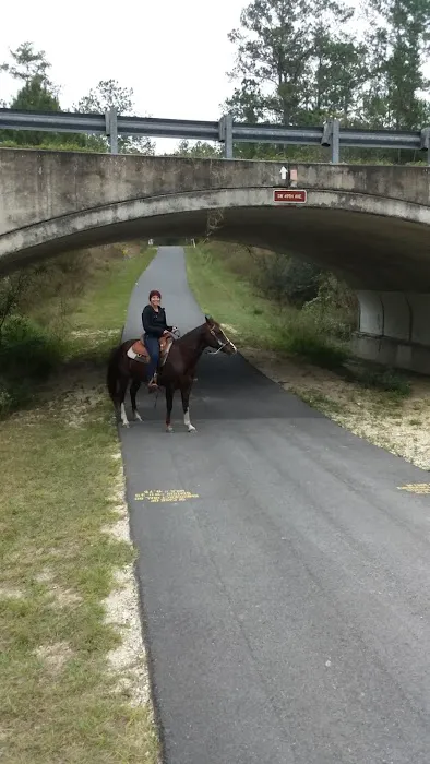 Primative camping spot Picture 2