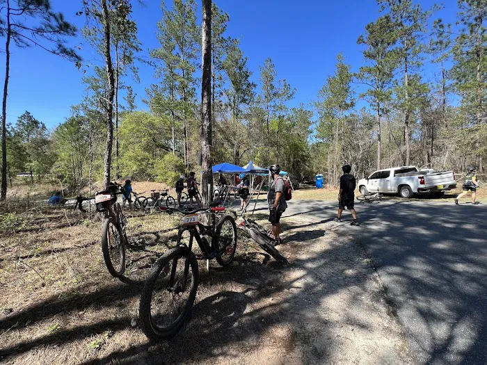 Primative camping spot Picture 6