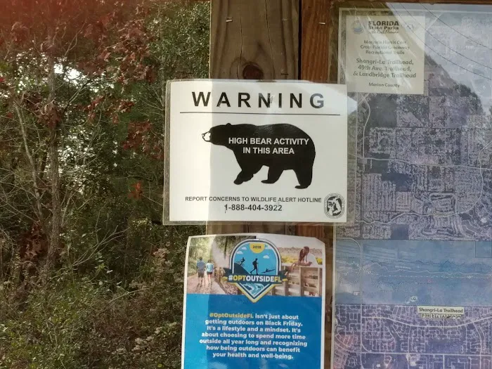 Primative camping spot Picture 9