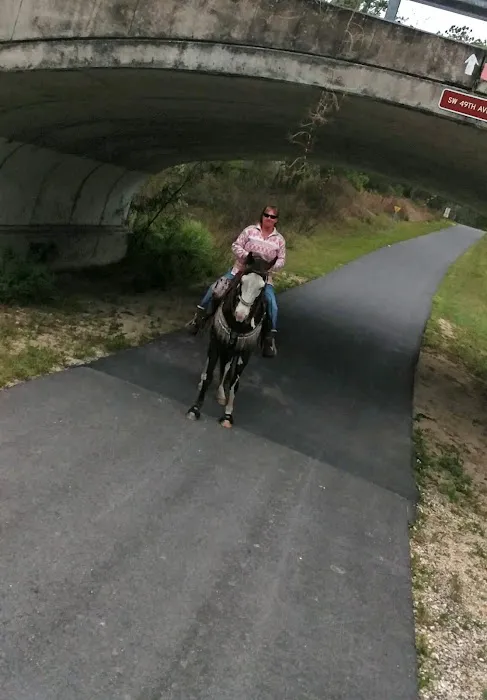 Primative camping spot Picture 4