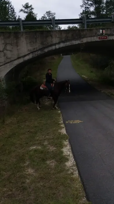 Primative camping spot Picture 1