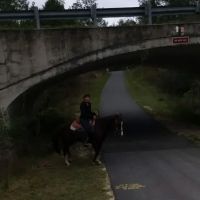 Primative camping spot ico