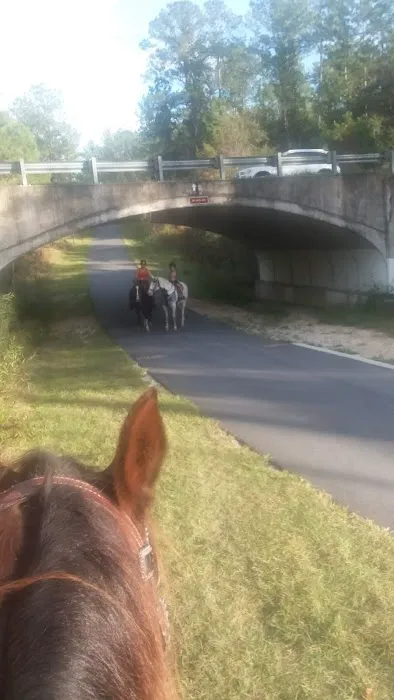 Primative camping spot Picture 3