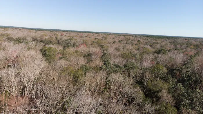 Lake Jumper Picture 1