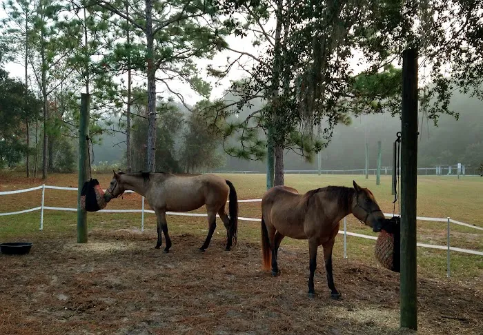 Ross Prairie Campground Picture 3