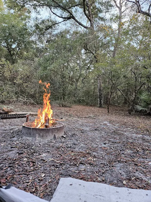 Ross Prairie Campground Picture 10