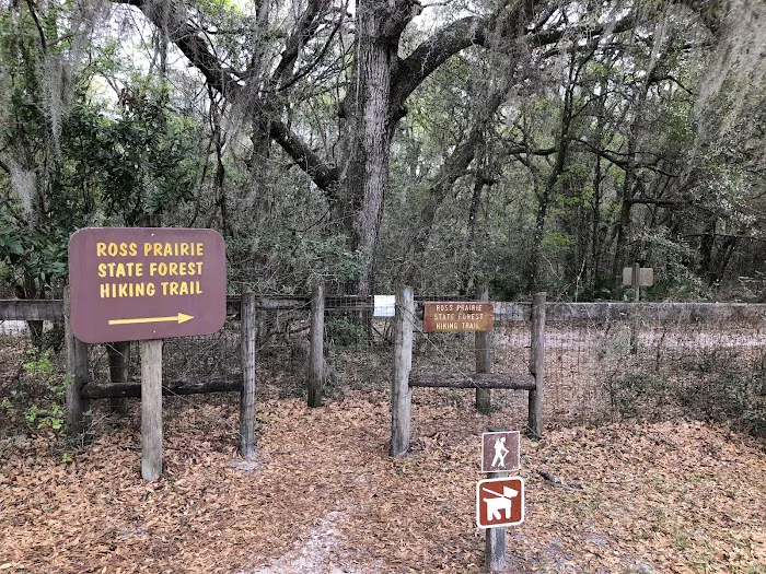 Ross Prairie Campground Picture 9