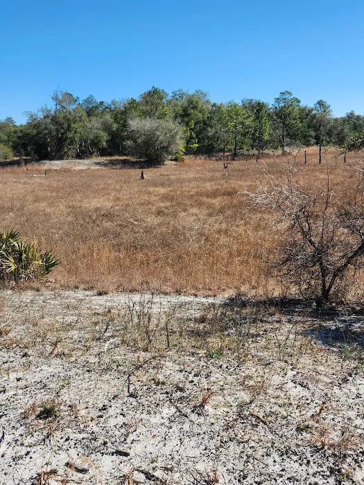 Ross Prairie Campground Picture 7