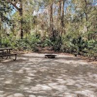 Rainbow Springs State Park Campground ico