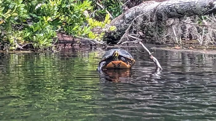 Rainbow Springs State Park Campground Picture 7