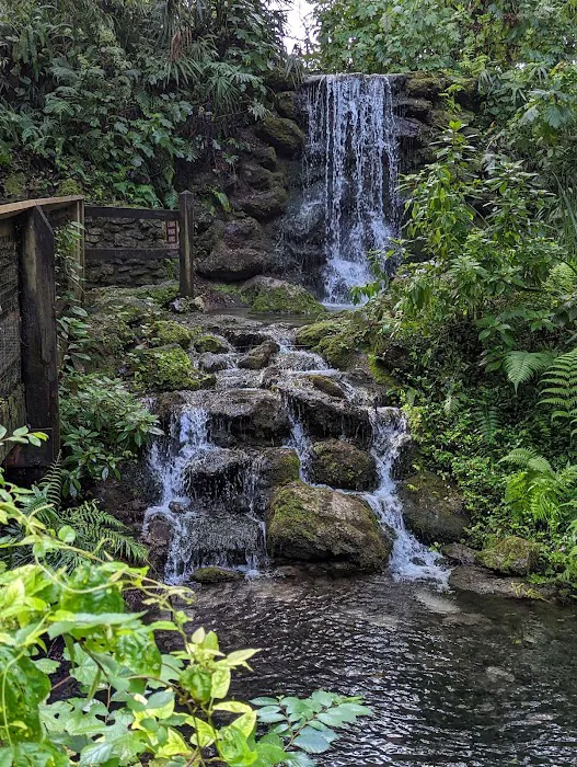Rainbow Springs State Park Campground Picture 10