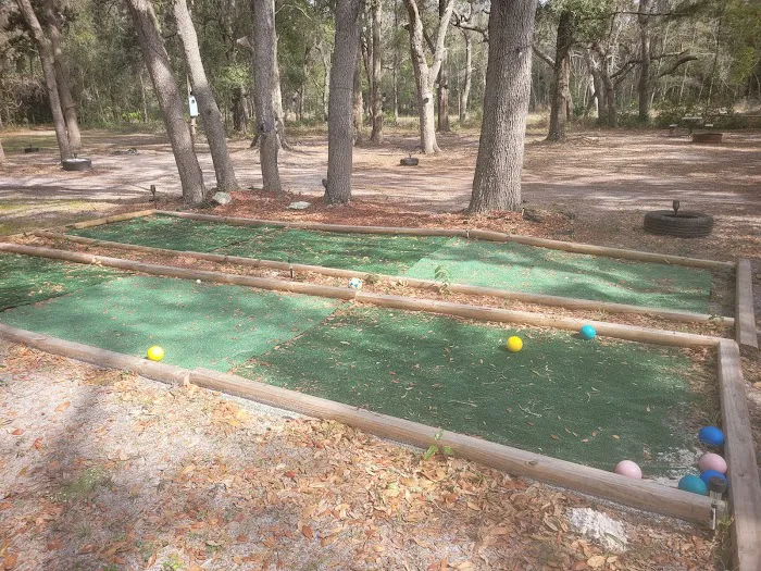 Nature's hug camping Picture 1