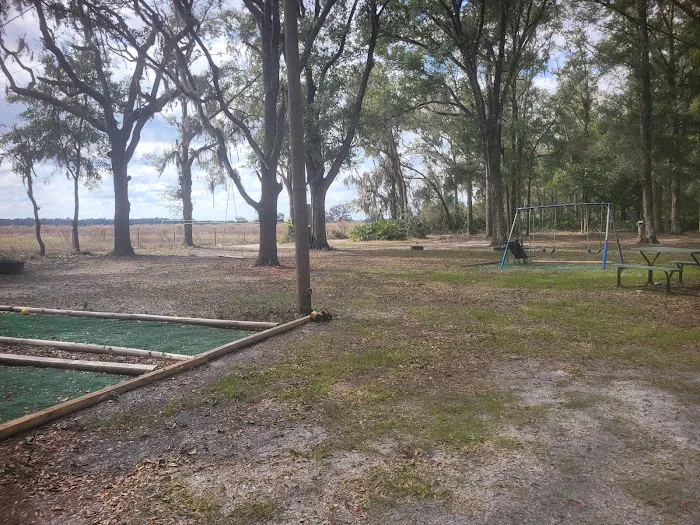 Nature's hug camping Picture 6