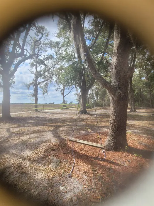 Nature's hug camping Picture 5