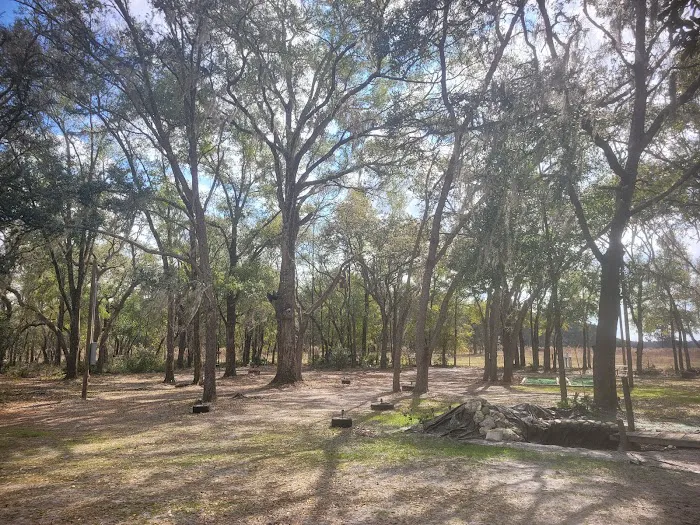 Nature's hug camping Picture 3