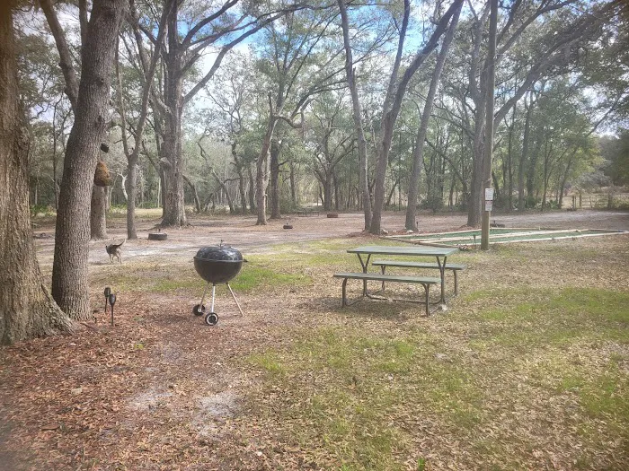 Nature's hug camping Picture 9