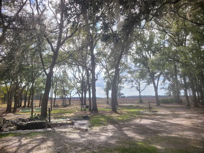 Nature's hug camping Picture 7