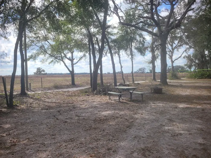 Nature's hug camping Picture 10