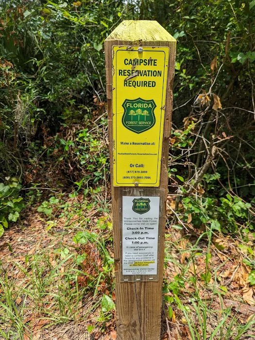Two Mile Prairie Primitive Campsite Picture 7