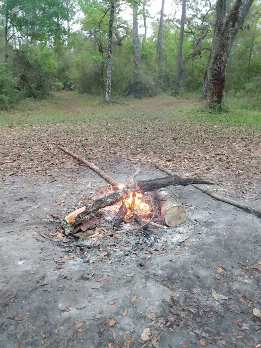 Two Mile Prairie Primitive Campsite Picture 2