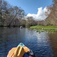 Two Mile Prairie Primitive Campsite ico