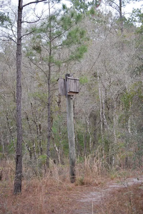 Two Mile Prairie Primitive Campsite Picture 10