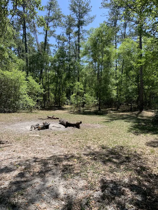 Two Mile Prairie Primitive Campsite Picture 9