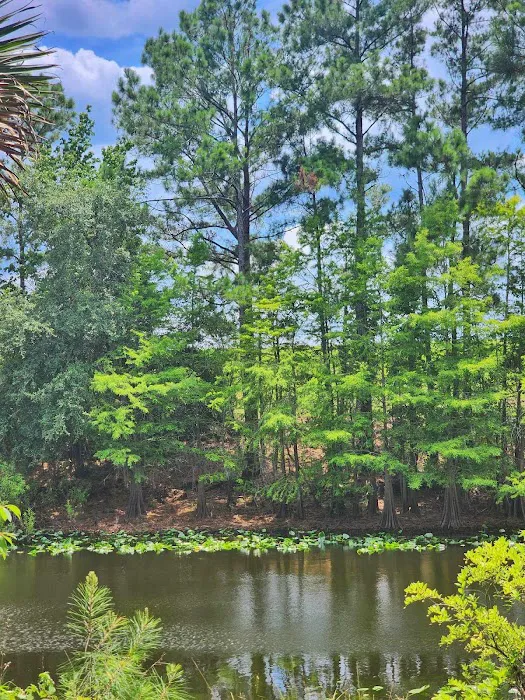 Ocklawaha Prairie Campgrounds Picture 3