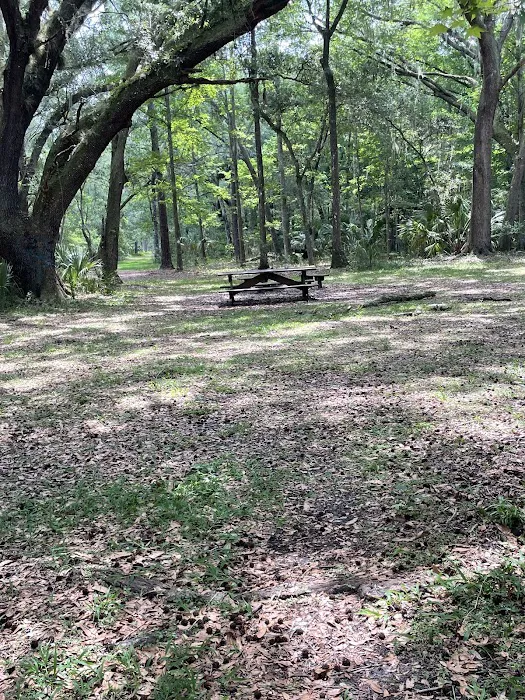 Ocklawaha Prairie Campgrounds Picture 5