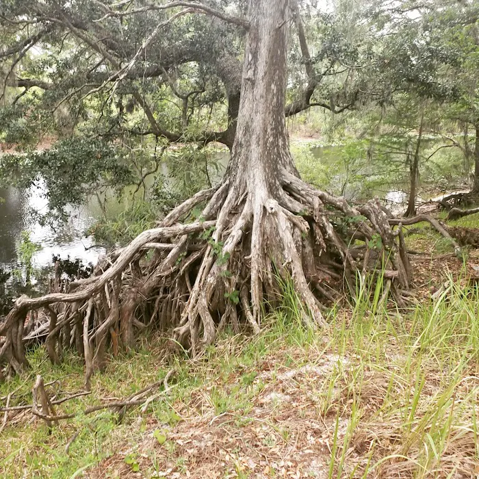 Ocklawaha Prairie Campgrounds Picture 10