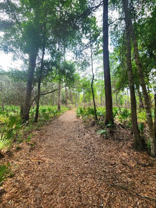 Ocklawaha Prairie Campgrounds Picture 1
