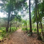 Ocklawaha Prairie Campgrounds