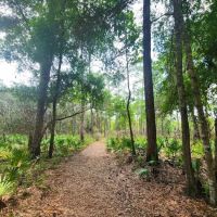 Ocklawaha Prairie Campgrounds ico