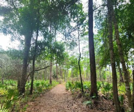 Ocklawaha Prairie Campgrounds