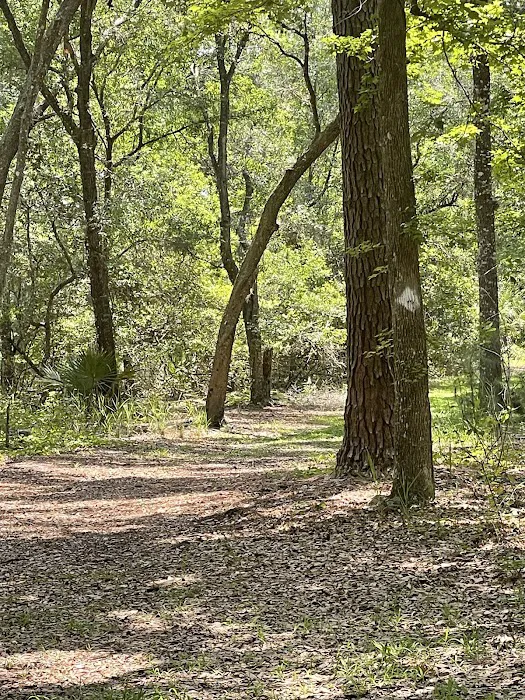Ocklawaha Prairie Campgrounds Picture 6