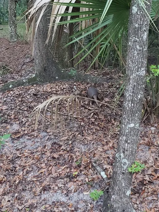 Ocklawaha Prairie Campgrounds Picture 8