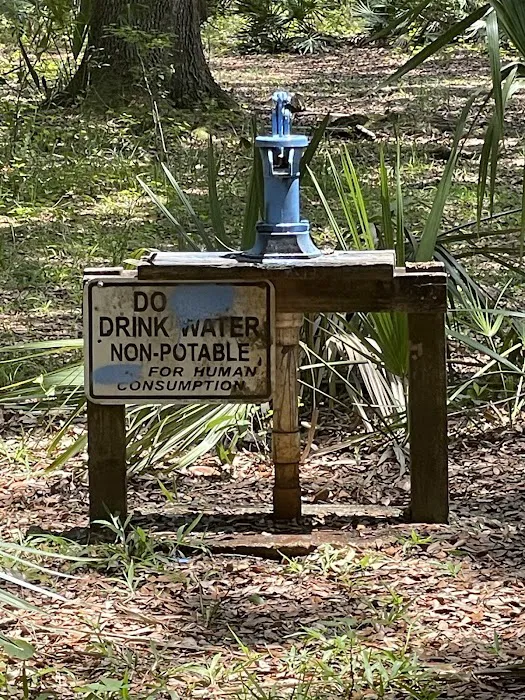 Ocklawaha Prairie Campgrounds Picture 4