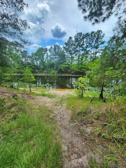 Ocklawaha Prairie Campgrounds Picture 2