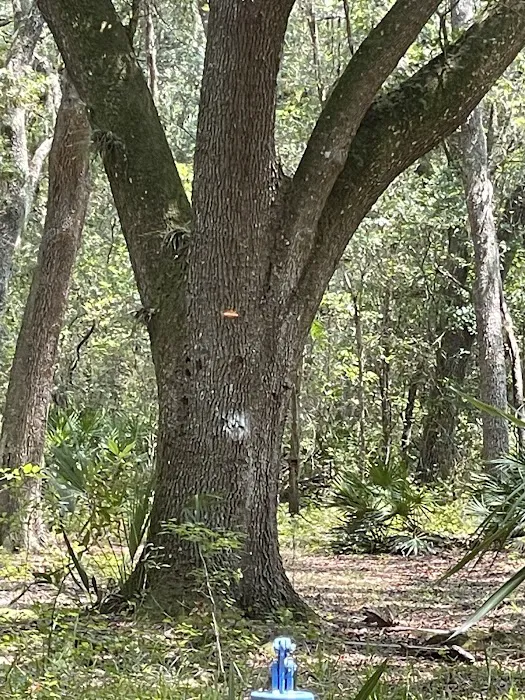 Ocklawaha Prairie Campgrounds Picture 7