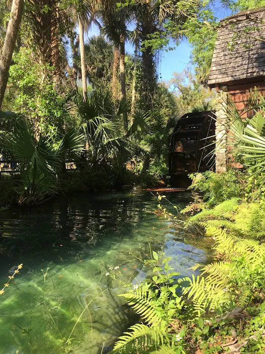 Juniper Springs Recreation Area Picture 8