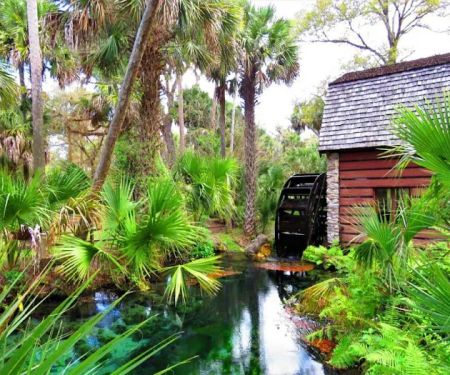 Juniper Springs Recreation Area
