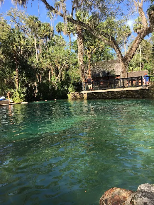 Juniper Springs Recreation Area Picture 6
