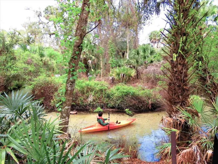 Juniper Springs Recreation Area Picture 2