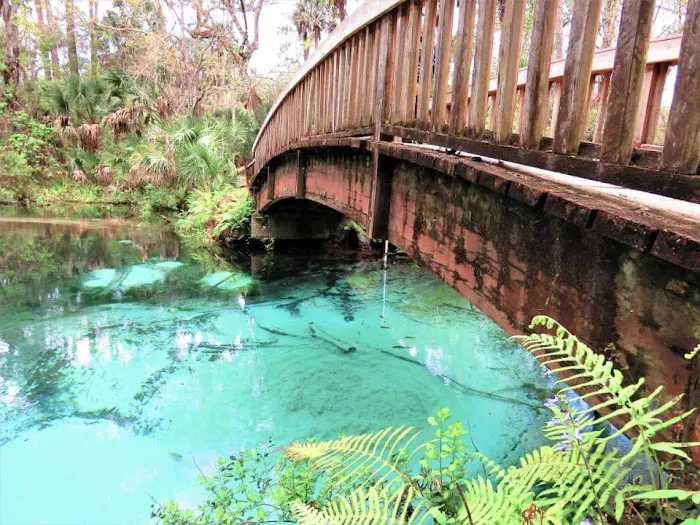 Juniper Springs Recreation Area Picture 3