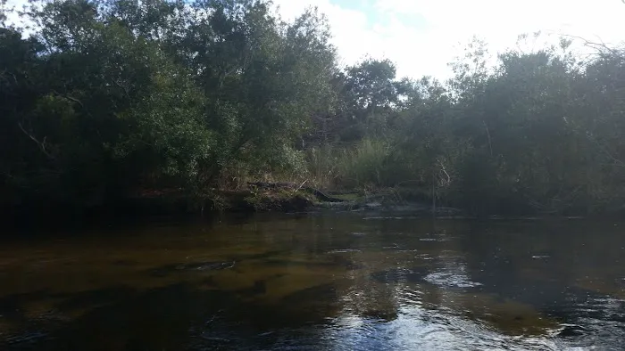 Juniper Springs Recreation Area Picture 9