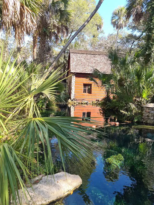 Juniper Springs Campground Picture 8