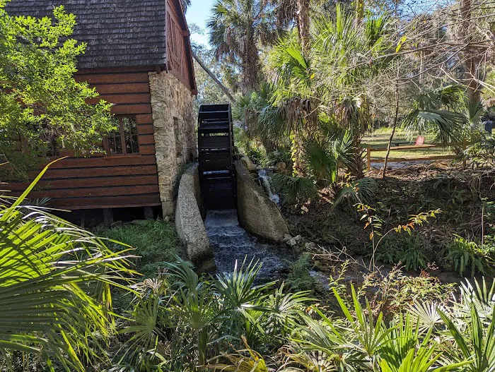 Juniper Springs Campground Picture 4