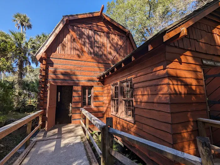 Juniper Springs Campground Picture 1