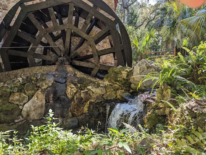 Juniper Springs Campground Picture 7